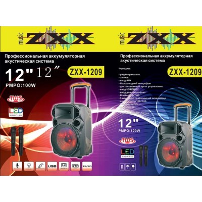 Акустическая аккумуляторная ZXX-1209 колонка 12 дюймов с микрофоном (USB/FM/BT/LED) 150 Вт