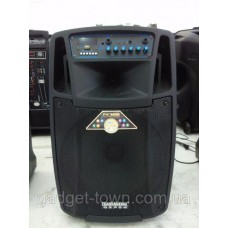 Колонка Temeisheng SL 08-01 с аккумулятором, 8 дюймов, 2 микрофона, MP3, Bluetooth, USB, SD, 100W
