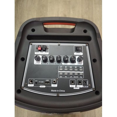 Колонка аккумуляторная Temeisheng TMS 808 c радиомикрофонами (250W/USB/BT/FM/TWS)