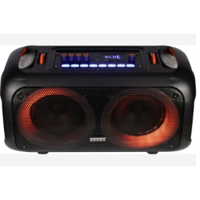 Портативный Бумбокс Temeisheng Soundmax TMS-6616 + 2 радиомикрофона