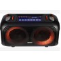Портативный Бумбокс Temeisheng Soundmax TMS-6616 + 2 радиомикрофона