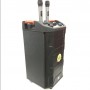 Колонка аккумуляторная с радиомикрофонами ZXX-6666 (FM/USB/BT/200W)