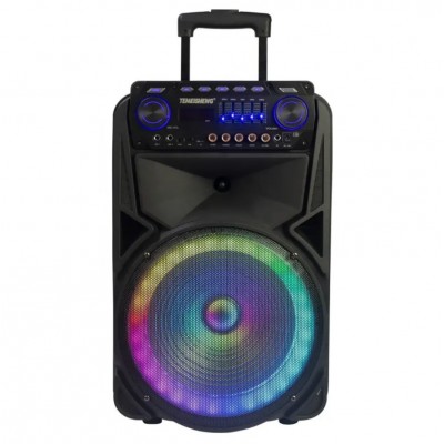 Колонка аккумуляторная с радиомикрофонами TMG ORIGINAL Soundmax SM-012 (Bluetooth/USB/SD)