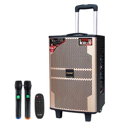 Портативная колонка с микрофонами Temeisheng QX-1020 300W (USB/Bluetooth/Пульт ДУ)