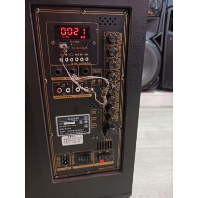 Портативная колонка с микрофонами Temeisheng QX-1020 300W (USB/Bluetooth/Пульт ДУ)