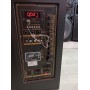 Портативная колонка с микрофонами Temeisheng QX-1020 300W (USB/Bluetooth/Пульт ДУ)
