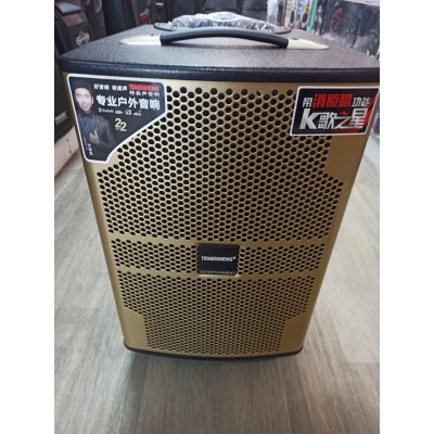 Портативная колонка с микрофонами Temeisheng QX-1020 300W (USB/Bluetooth/Пульт ДУ)