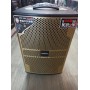 Портативная колонка с микрофонами Temeisheng QX-1020 300W (USB/Bluetooth/Пульт ДУ)