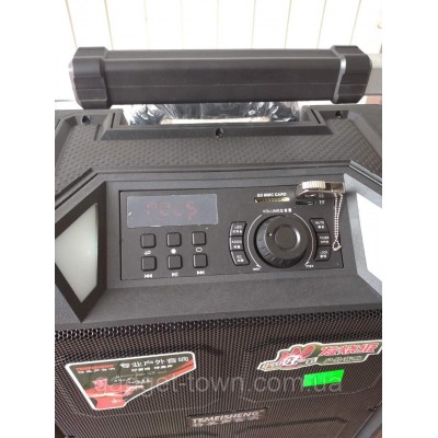 Портативная колонка на аккумуляторе SL12-10 с радиомикрофонами / 180W (USB/Bluetooth)