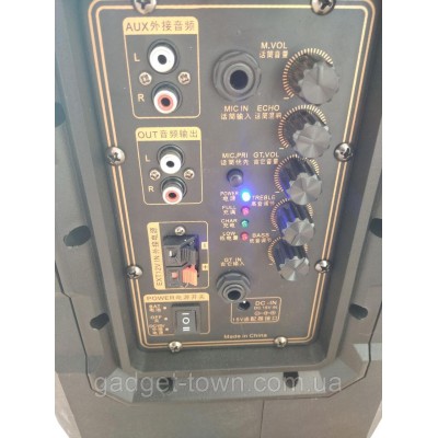 Портативная колонка на аккумуляторе SL12-10 с радиомикрофонами / 180W (USB/Bluetooth)