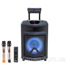 Колонка портативная с микрофонами TMS-1201 /300W (USB/Bluetooth/Пульт ДУ/FM)