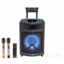 Колонка портативная с микрофонами TMS-1201 /300W (USB/Bluetooth/Пульт ДУ/FM)