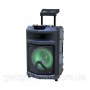 Колонка портативная с микрофонами TMS-1201 /300W (USB/Bluetooth/Пульт ДУ/FM)