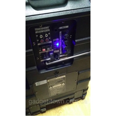 Колонка портативная с микрофонами TMS-1201 /300W (USB/Bluetooth/Пульт ДУ/FM)