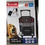 Колонка комбик Golon RX-2088 BT Bluetooth mp3, пульт цветомузыка