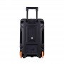 Аккумуляторная колонка Temeisheng TMS-1515 с микрофонами/400W (USB/Bluetooth/Пульт ДУ)