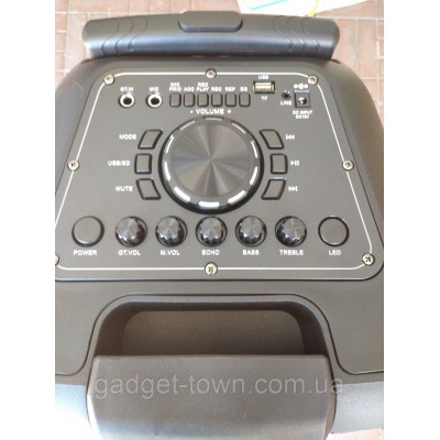 Колонка аккумуляторная Ailiang UF-2101 c радиомикрофонами (120W/USB/BT/FM)