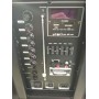 Колонка с аккумулятором ZXX/ 2x12"/ 300W/ 2 радиомикрофона/ TMG ORIGINAL