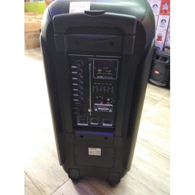 Колонка с аккумулятором ZXX/ 2x12"/ 300W/ 2 радиомикрофона/ TMG ORIGINAL