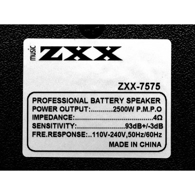 Колонка с аккумулятором ZXX/ 2x12"/ 300W/ 2 радиомикрофона/ TMG ORIGINAL