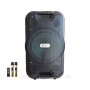 Колонка аккумуляторная Ailiang UF-2112 c радиомикрофонами (100W/USB/BT/FM)