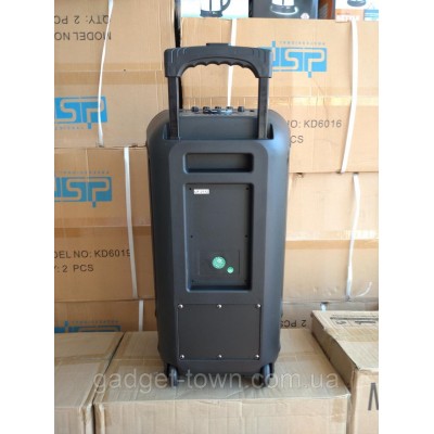 Колонка аккумуляторная Ailiang UF-2112 c радиомикрофонами (100W/USB/BT/FM)