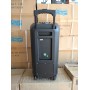 Колонка аккумуляторная Ailiang UF-2112 c радиомикрофонами (100W/USB/BT/FM)