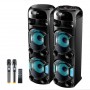 Комплект мощной парной акустики Leisound Proaudio 600W (USB/FM/Bluetooth) + 2 радиомикрофона Djпульт
