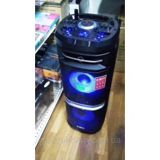 Портативная акустика TS210-05 /250W 2 микрофона LED подсветка (USB/FM/Bluetooth/Пульт ДУ)