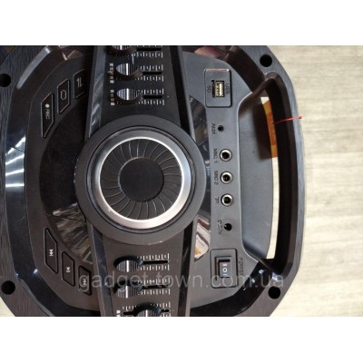 Портативная акустика TS210-05 /250W 2 микрофона LED подсветка (USB/FM/Bluetooth/Пульт ДУ)