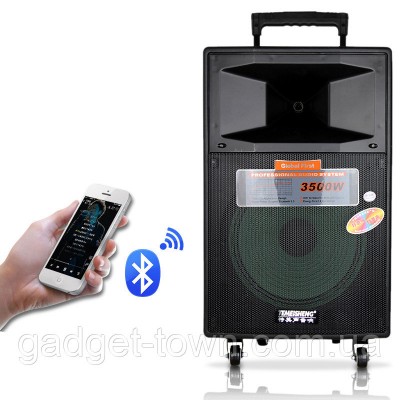 Портативная акустика с микрофонами Temeisheng SL12-04 /250W (USB/Bluetooth/Пульт ДУ/FM)