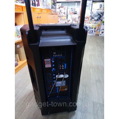 Портативная акустика с микрофонами Temeisheng SL12-04 /250W (USB/Bluetooth/Пульт ДУ/FM)