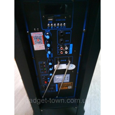 Портативная акустика с микрофонами Temeisheng SL12-04 /250W (USB/Bluetooth/Пульт ДУ/FM)