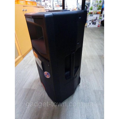 Портативная акустика с микрофонами Temeisheng SL12-04 /250W (USB/Bluetooth/Пульт ДУ/FM)