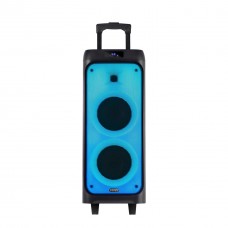 Колонка аккумуляторная Temeisheng TMG S64 c радиомикрофонами (2MIC/USB/BT/FM/TWS)