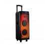 Колонка аккумуляторная Temeisheng TMG S64 c радиомикрофонами (2MIC/USB/BT/FM/TWS)