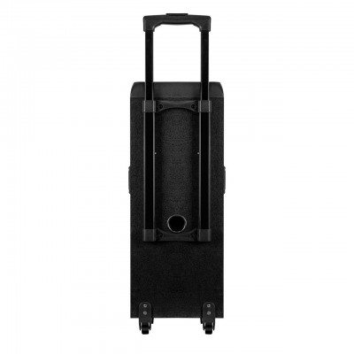 Колонка аккумуляторная Temeisheng TMG S64 c радиомикрофонами (2MIC/USB/BT/FM/TWS)