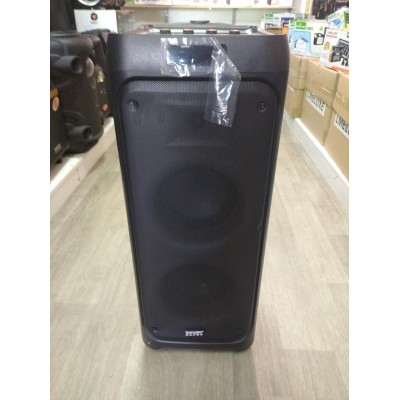 Колонка аккумуляторная Temeisheng TMG S64 c радиомикрофонами (2MIC/USB/BT/FM/TWS)