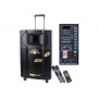 Аккумуляторная колонка Temeisheng QX-1209 с микрофонами/400W корпус дерево