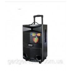 Портативная акустика Temeisheng A10-33/120W микрофон (USB/FM/Bluetooth)