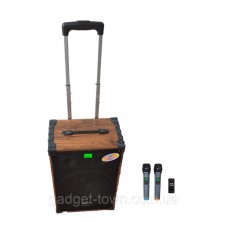 Портативная колонка Temeisheng A 12-42 с радиомикрофонами / 180W (USB/Bluetooth/)