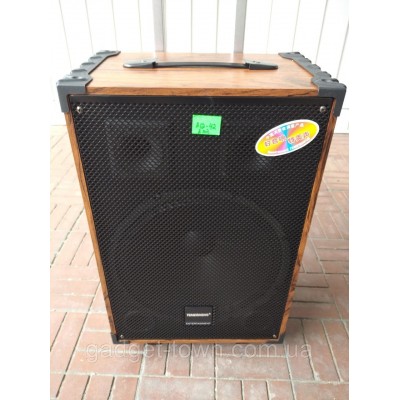 Портативная колонка Temeisheng A 12-42 с радиомикрофонами / 180W (USB/Bluetooth/)