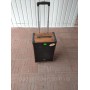 Портативная колонка Temeisheng A 12-42 с радиомикрофонами / 180W (USB/Bluetooth/)