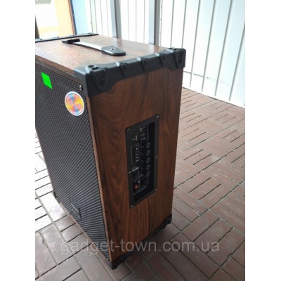 Портативная колонка Temeisheng A 12-42 с радиомикрофонами / 180W (USB/Bluetooth/)