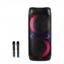 Колонка портативная 2х6,5 дюймов Temeisheng 150W /TWS/ BT/ 2 mic/USB+FM/ LED