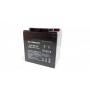Гелевый аккумулятор глубокого разряда DS POWER 12V 24Ah/10Hr GEL (8,15 кг)