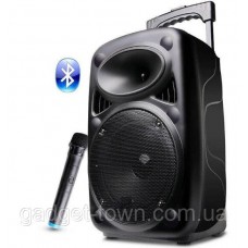 Колонка с аккумулятором Wimpex WX-810C  колонка-чемодан 60W, радиомикрофон, Bluetooth, SD+USB, пульт