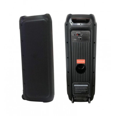 Колонка аккумуляторная Partybox Temeisheng Feiyang c радиомикрофонами (300W/USB/BT/FM/TWS)