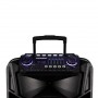 Колонка аккумуляторная с радиомикрофонами TMG ORIGINAL Temeisheng SK-018 (Bluetooth/USB/SD)