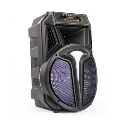Акустическая аккумуляторная колонка (USB/FM/BT/LED) Ailiang KOLAV-S603